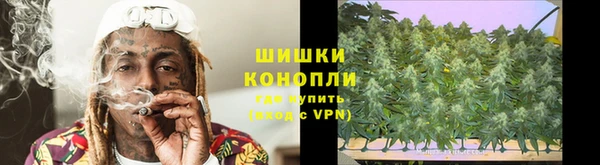 экстази Богданович