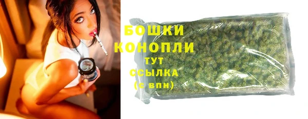шишки Богородск