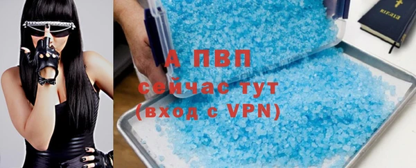 шишки Богородск