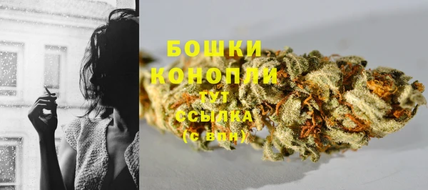 прущий лед Белокуриха